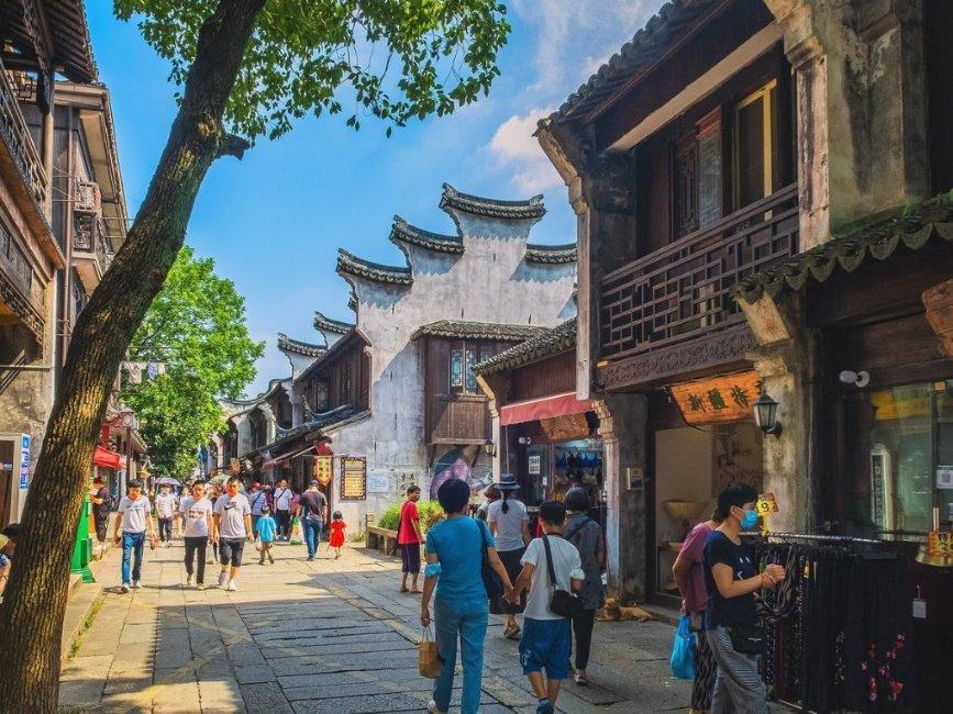 垂丝茉莉能活几年寿命？游戏画面